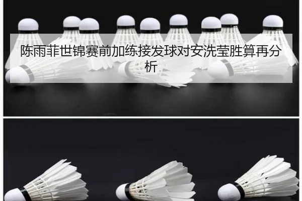 陈雨菲世锦赛前加练接发球对安洗莹胜算再分析
